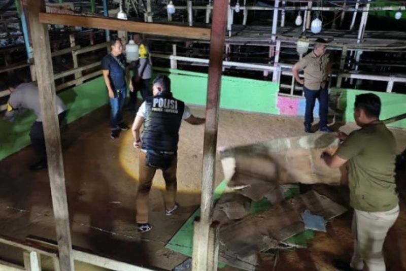 TNI-Polri Razia Sabung Ayam di Kukar, Arena Dibongkar dan Dibakar