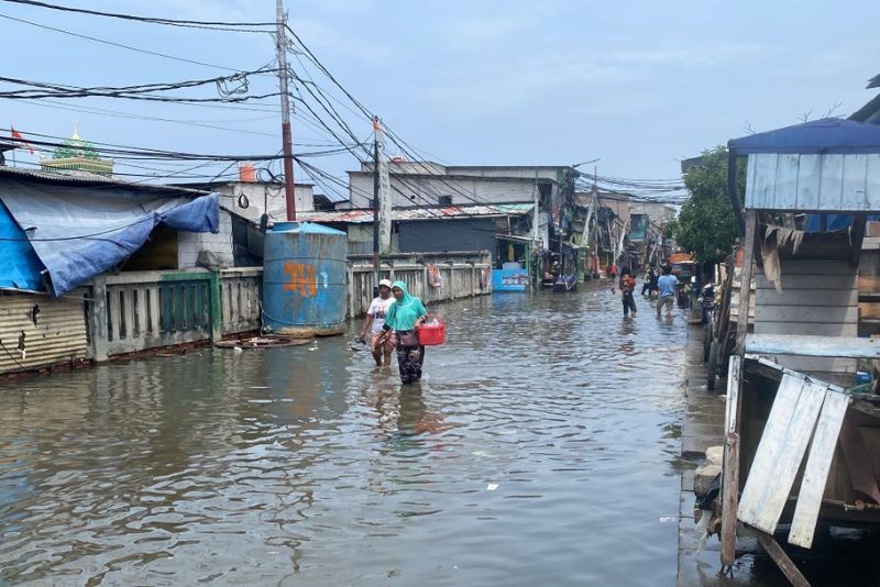 Banjir Rob Merendam Wilayah Muara Angke Jakarta Utara