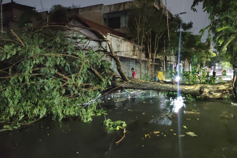 Hujan Angin di Surabaya, Pohon Tumbang, Mobil Terjun ke Sungai