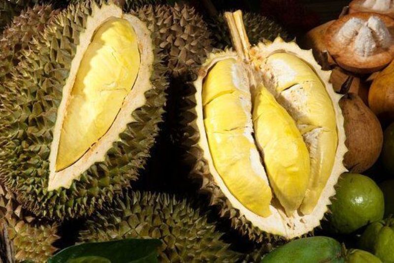 Kenapa Harga Durian Musang King Mahal?