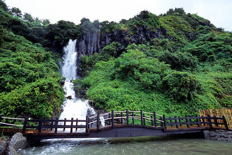 38 Turis Vietnam Hilang Misterius di Pulau Jeju Korea Selatan