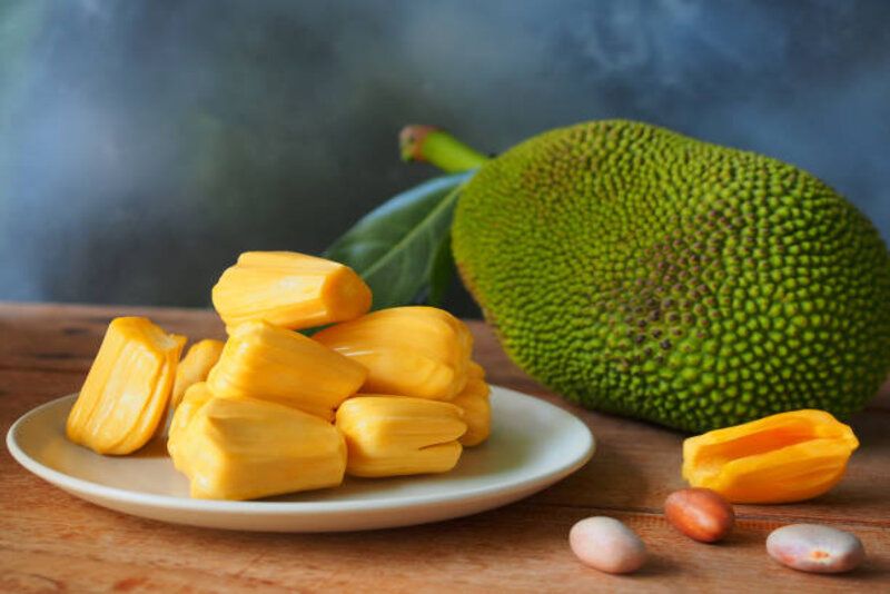 Doyan Makan Nangka Bisa Menurunkan Gula Darah, Mitos atau Fakta?