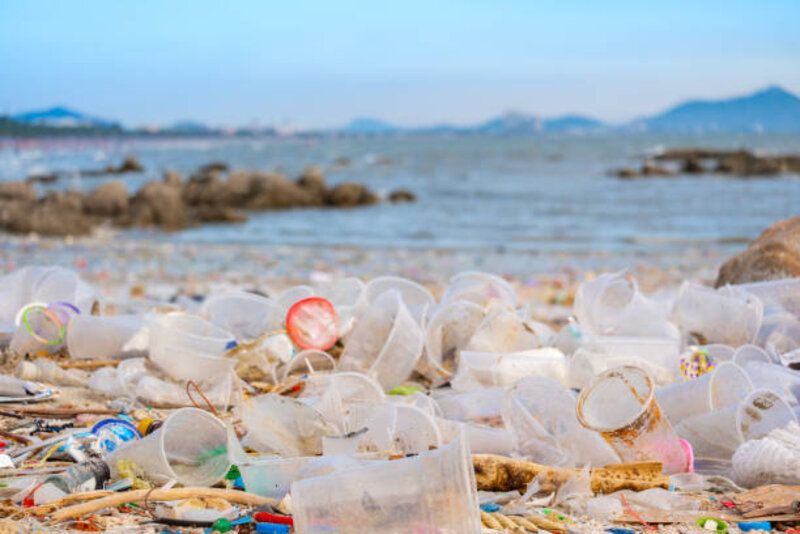 Mikroplastik dalam Makanan Sehari-hari: Bahaya Tersembunyi untuk Kesehatan Anda