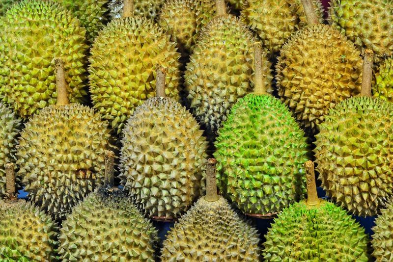 Bukan Nolongin, Warga Malah Jarah Durian dari Pikap Terguling, Sopir Pasrah