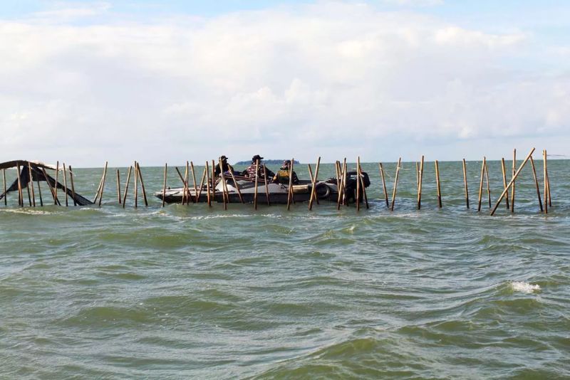 Menteri Kelautan dan Perikanan, Sakti Wahyu Trenggono Pastikan Seluruh Pagar Laut Dibongkar