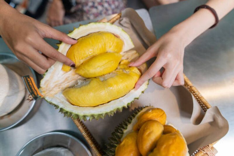 Rahasia Durian Manis dan Berdaging Tebal: Jangan Salah Pilih di Musim Panen Ini!