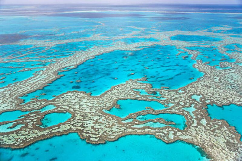 Tragedi di Great Barrier Reef: Mengapa Karang Semakin Mati dan Sulit Diselamatkan?