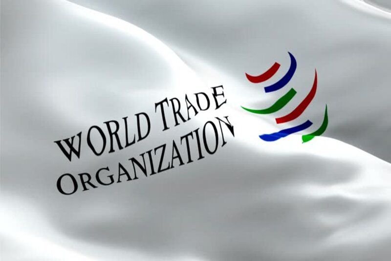 Kemenangan Indonesia di WTO: Apa Dampak Keputusan Terkait Kebijakan Uni Eropa terhadap Kelapa Sawit?