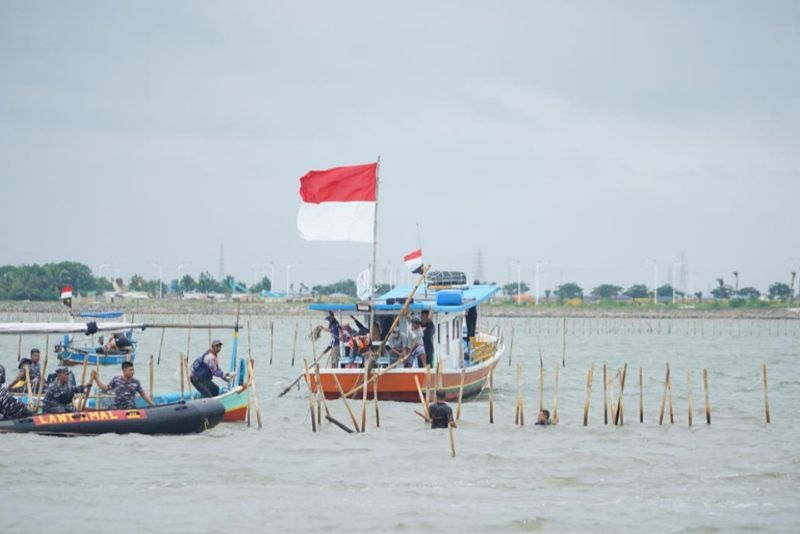 7 Personel TNI AL Alami Kecelakaan Saat Pembongkaran Pagar Laut