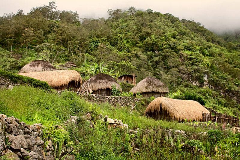 Papua Nugini, Negeri dengan Keragaman Bahasa Tertinggi di Dunia: Mengungkap Fakta Menarik yang Jarang Diketahui