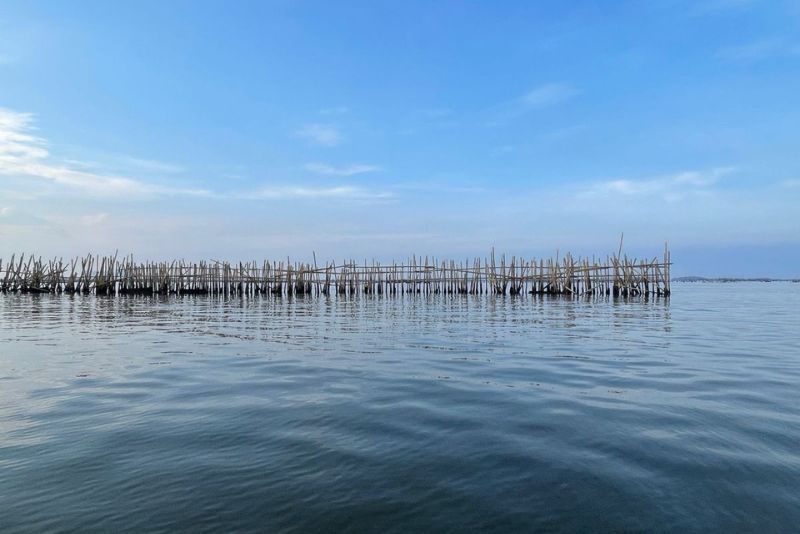 Ombudsman Banten temukan 6 indikasi tidak pidana terkait kasus pagar laut Tangerang