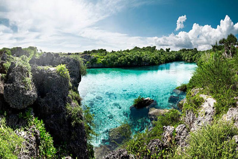 Dunia yang Hilang di Sumba: Penelitian Ungkap Pulau Ini Jadi Rumah Hewan Langka yang Telah Punah