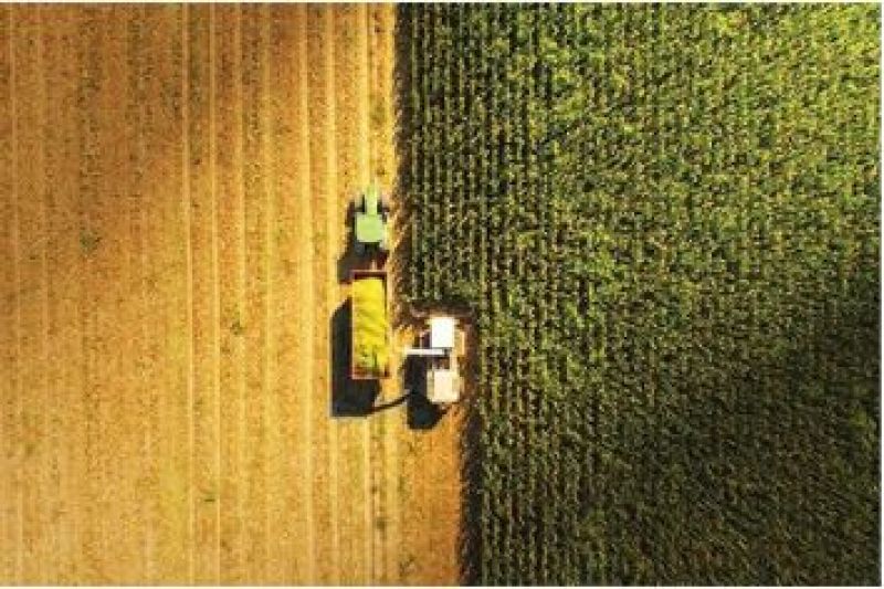 Food Estate