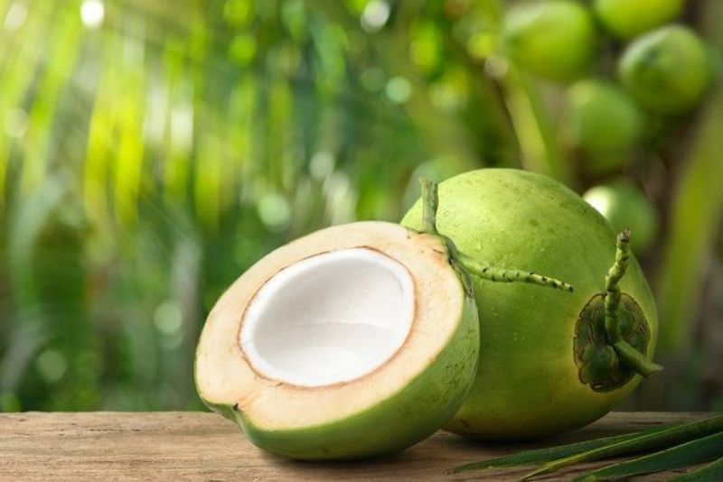 Harga Kelapa di Malaysia dan Filipina Naik karena Kurang Stok