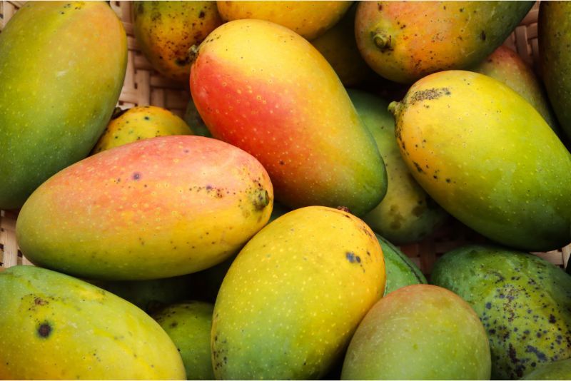 Khasiat Buah Mangga