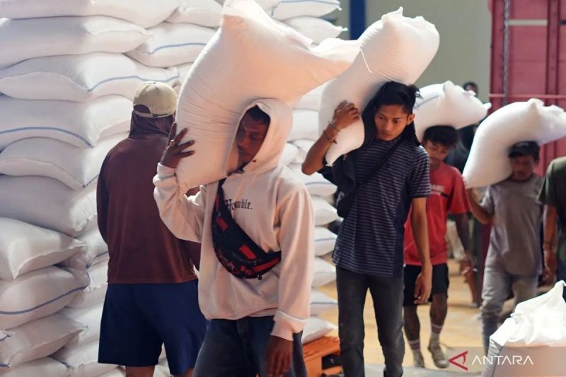 Sejumlah pekerja membongkar dan mengangkut karung berisi beras dari serapan gabah petani di Gudang Perum Bulog Campang Raya, Bandar Lampung, Lampung, Selasa (29/4/2025). ANTARA FOTO/Ardiansyah/foc.