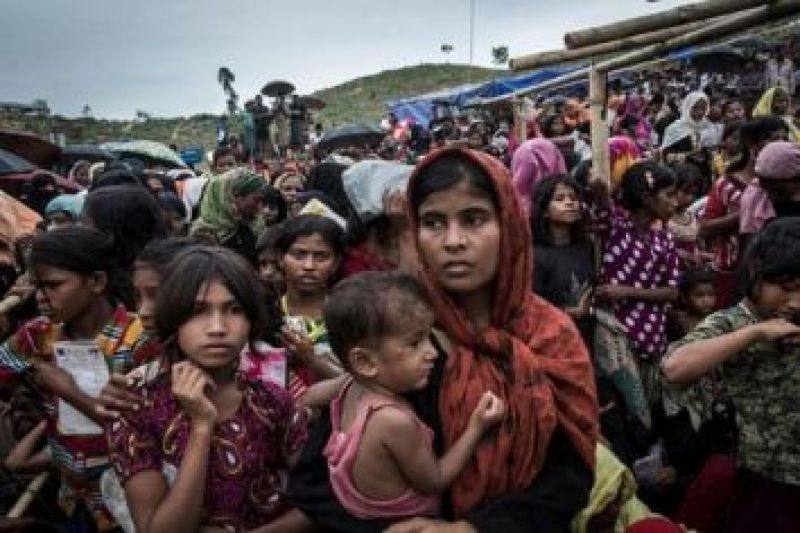 Rohingya