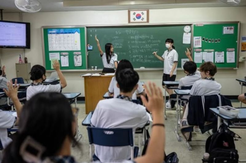 murid korea
