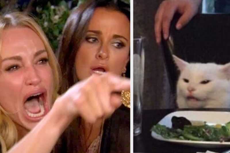 Meme wanita dan kucing tengah populer di media sosial. (Buzzfeed)