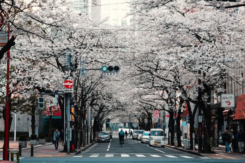 Ilustrasi Tokyo.(UNSPLASH/AGATHE MARTY)