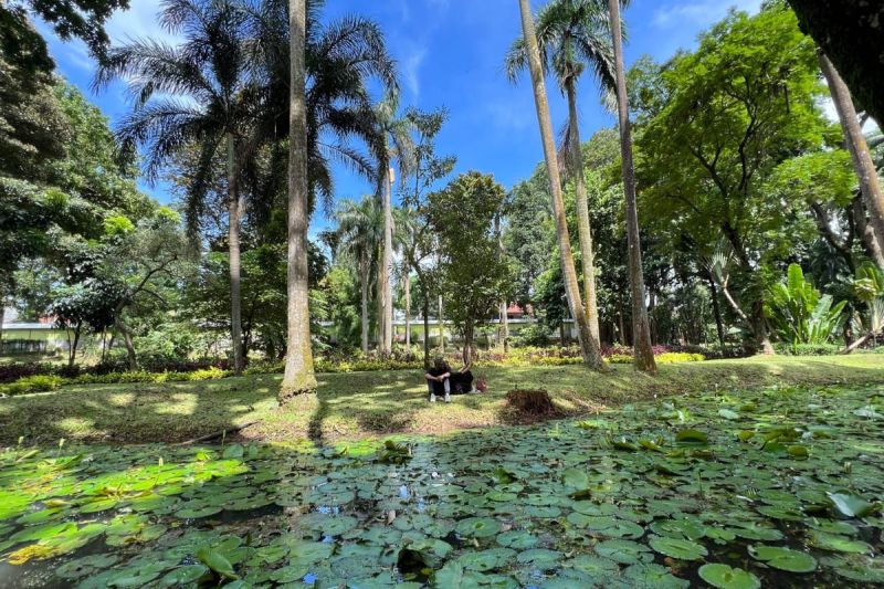 Taman Langsat, Jakarta Selatan(KOMPAS.com/MIFTAHUL RIZKY)