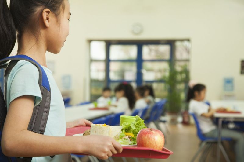 100 Anak di India Keracunan Usai Makan Siang Gratis, Diduga Tercemar Bangkai Ular