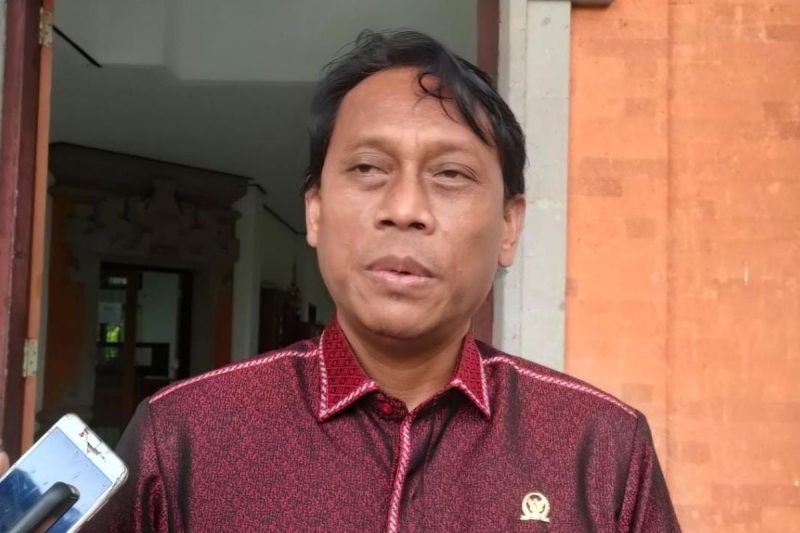 Anggota Komisi IX DPR RI, Ketut Kariyasa Adnyana di Buleleng, Selasa (3/9/2024). (KOMPAS.com/HASAN )