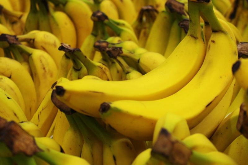 Ilustrasi pisang. Saat diare melanda, pilih makanan yang tepat seperti pisang, nasi putih, dan yogurt probiotik agar cepat pulih tanpa bikin perut makin tidak nyaman.(Pexels/Daniel Dan)