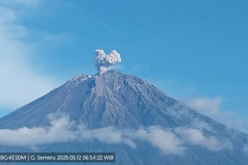 Gunung Semeru kembali erupsi dengan letusan setinggi 700 meter di atas puncak pada Senin (12/5/2025) pagi. (ANTARA/HO-PVMBG)