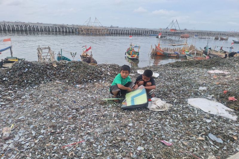 Tumpukan limbah kulit kerang setinggi lima meter di pinggir pantai Cilincing, Jakarta Utara.(KOMPAS.com/ SHINTA DWI AYU)