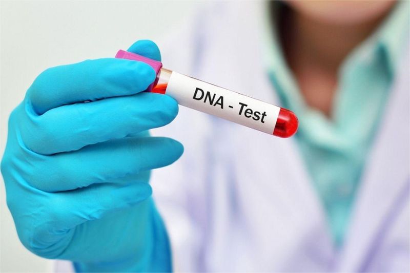 alat tes DNA dan laporan hasil pemeriksaan kesehatan berbasis genetik
