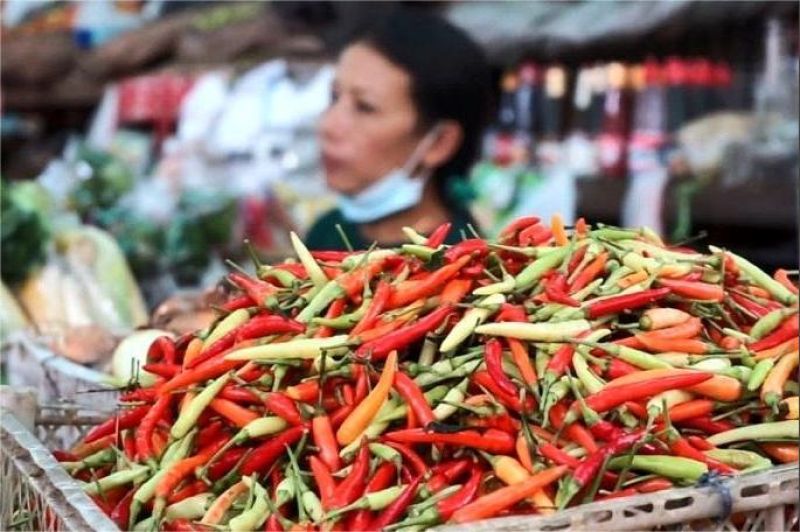 ilustrasi harga cabai mahal di pasar tradisional dengan pembeli bingung melihat label harga