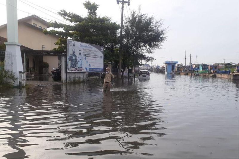 banjir rob menggenangi pemukiman warga di pesisir utara Jawa