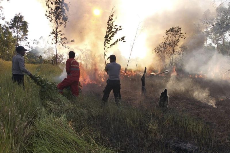 asap kebakaran hutan di Sumatera dan Kalimantan saat musim kemarau