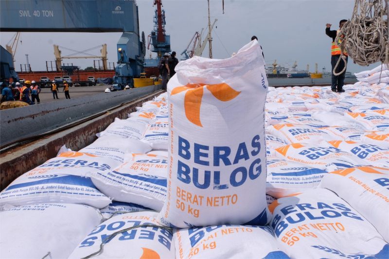 impor beras dan petani lokal tertekan di tengah klaim ketahanan pangan