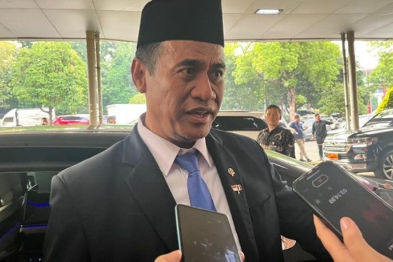 Menteri Amran: Nilai Ekspor Kelapa Diprediksi Akan Meningkat hingga Rp 60 Triliun