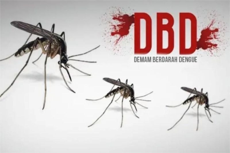 penyemprotan demam berdarah