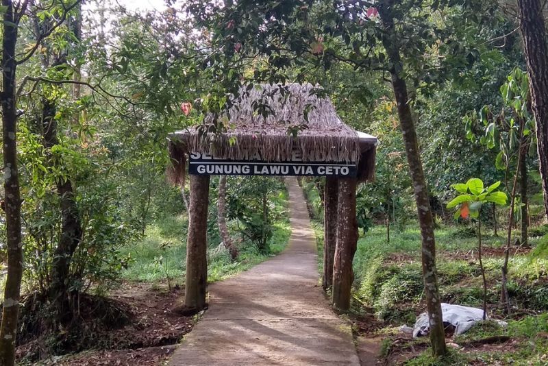Viral, Pungli Jalur Pendakian Lawu Via Cetho, Bermodus Sewa Kain Rp 5.000