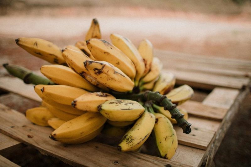 Pisang Raja Masuk Daftar Pisang Terbaik di Dunia 2025