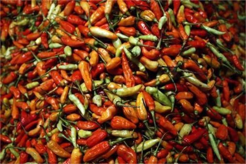 ilustrasi cabai merah dengan label harga tinggi di pasar tradisional