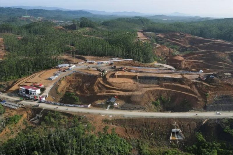 pembangunan IKN dan ancaman terhadap hutan Kalimantan