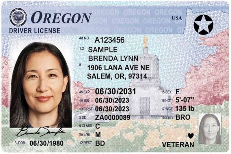 Mulai Berlaku! Wajib Miliki REAL ID untuk Terbang di AS: Ini Dampaknya jika Tidak Mematuhi Aturan