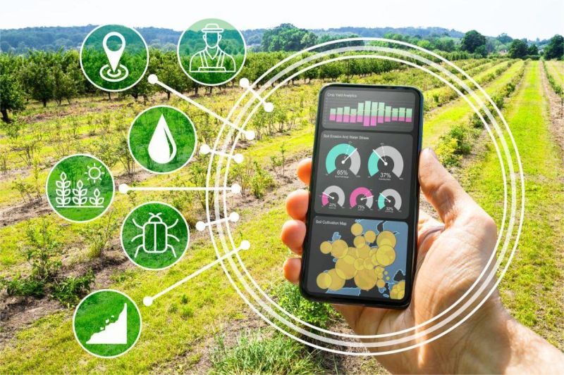 alat IoT pertanian dengan sensor dan aplikasi pantau tanaman real-time di smartphone