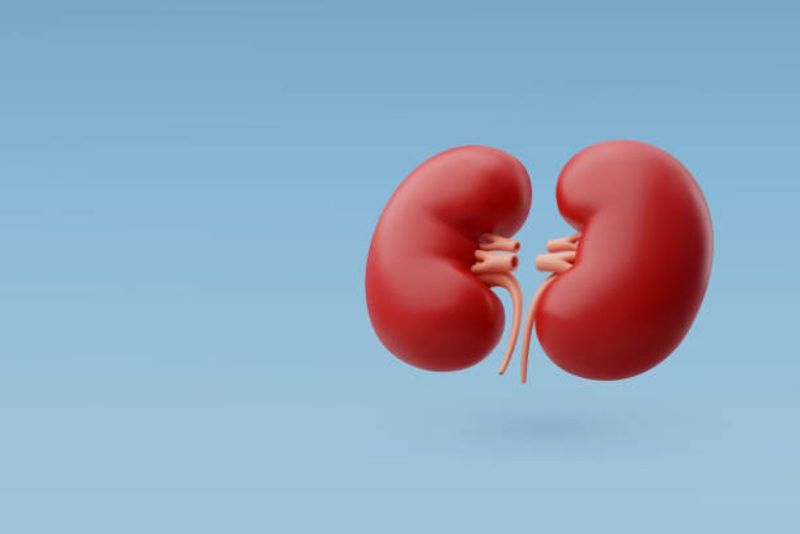 6 Cara Ampuh Menjaga Kesehatan Ginjal Anda: Preventif Sebelum Terlambat!