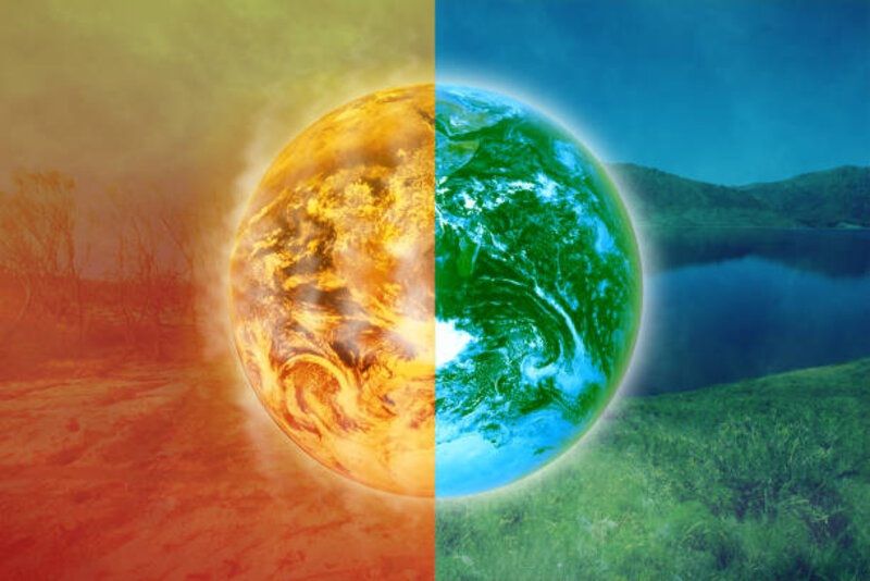 Tanda Kiamat yang Menyebar: Bagaimana Pemanasan Global Mengancam Kehidupan Hutan Tropis dan Masa Depan Bumi