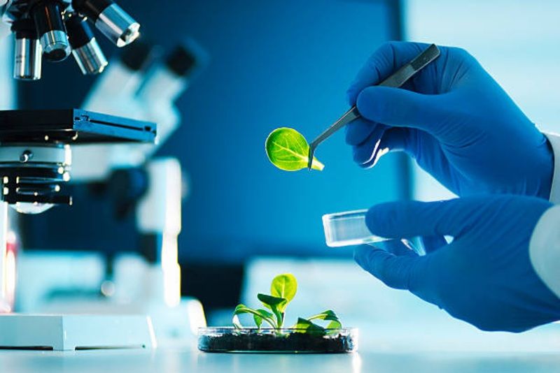 Bisa Jadi Raja Bioteknologi Dunia? Ini Potensi Tersembunyi Indonesia yang Baru Terungkap!