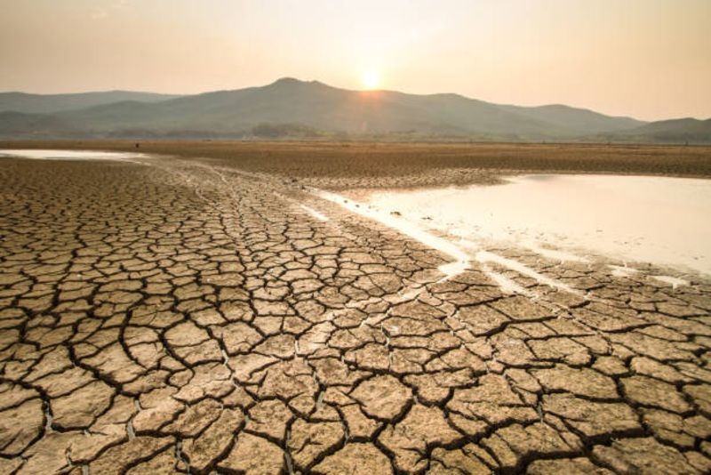 Apakah Bumi Akan Pecahkan Rekor Suhu Tertinggi dalam 5 Tahun? Fakta Mengejutkan dari Laporan WMO