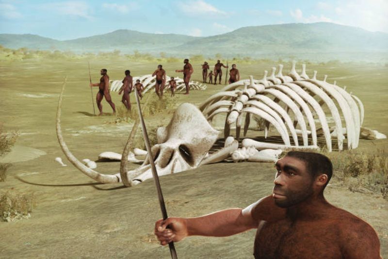 Fosil Homo erectus Berusia 140 Ribu Tahun Ditemukan di Selat Madura, Apa Rahasia Evolusi Manusia di Sana?