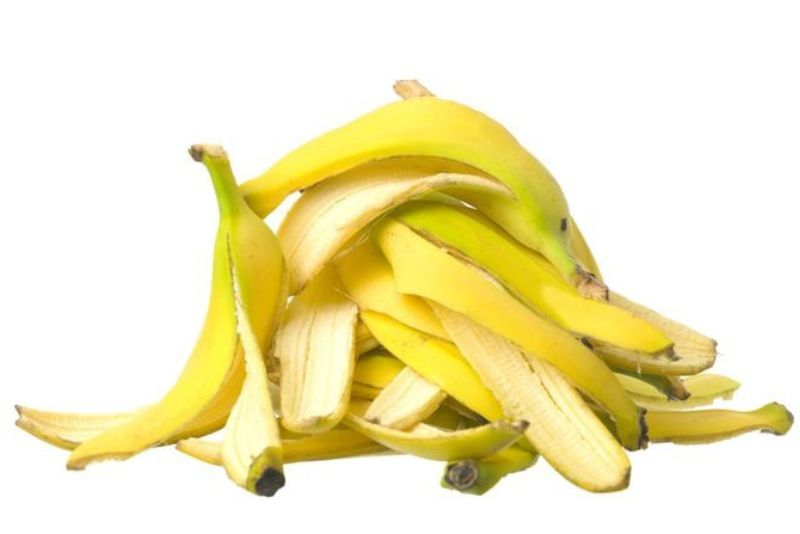 Kulit Pisang Dapat Di Manfaatkan Untuk Kebun? Benarkah? Yuk Simak!