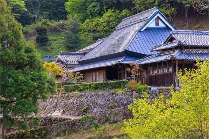 pemuda jepang di desa dengan latar rumah kayu tradisional dan sawah